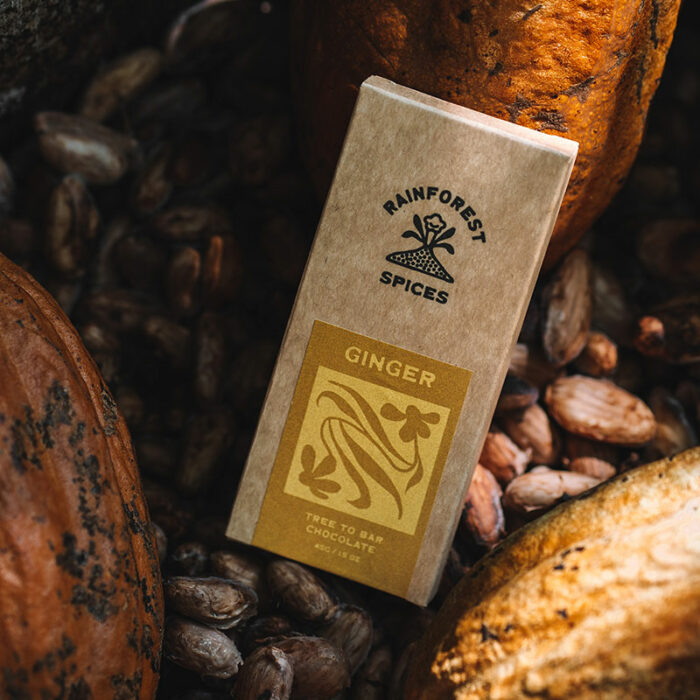 Chocolate Bar Ginger