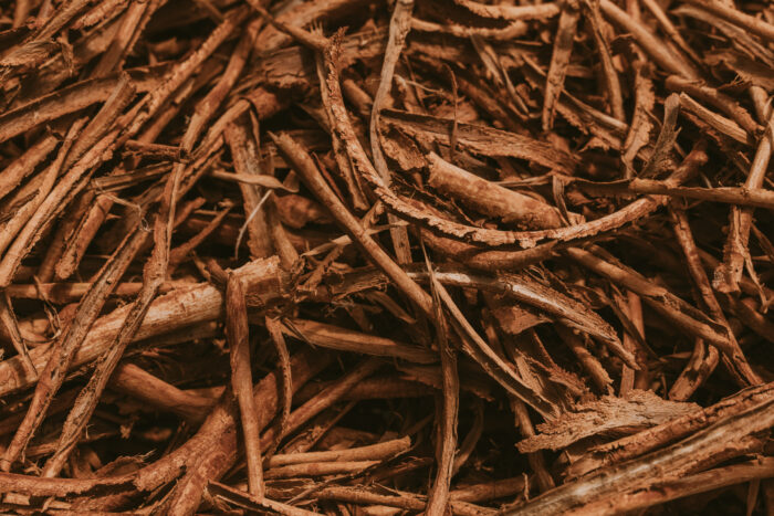 Ceylon Cinnamon Bark - Image 3