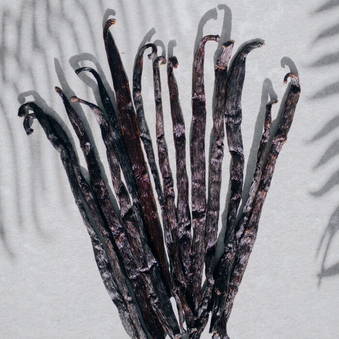 Vanilla Pod