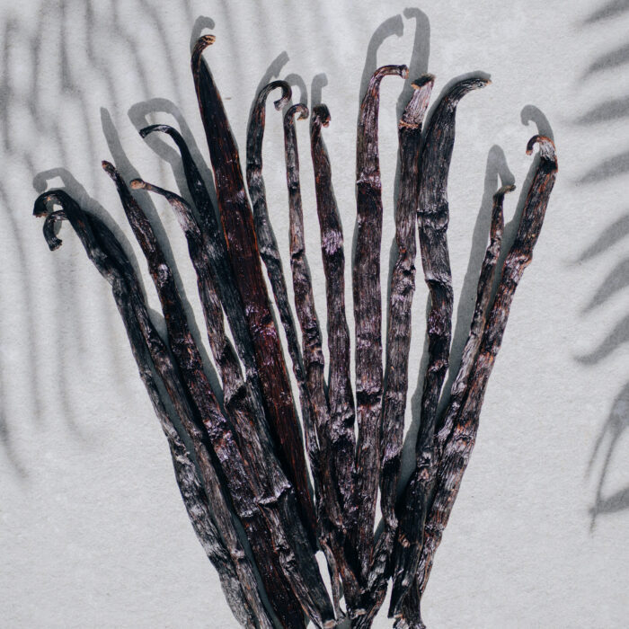 Vanilla Pod